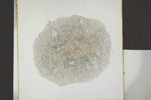 Plane Polarized, S22945