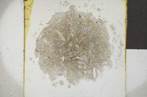 Plane Polarized, S22947
