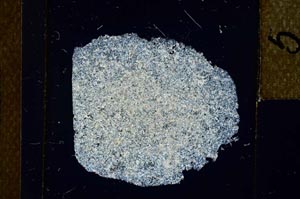 Cross Polarized, S22948