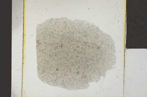 Plane Polarized, S22948