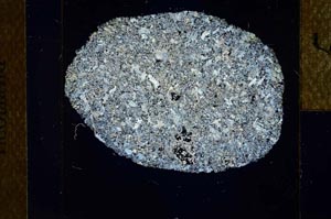 Cross Polarized, S22949