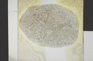 Plane Polarized, S22949