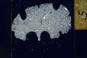 Cross Polarized, S22950