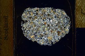 Cross Polarized, S22951