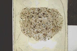 Plane Polarized, S22951