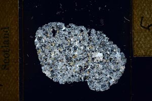 Cross Polarized, S22952