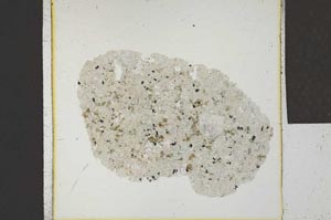 Plane Polarized, S22952