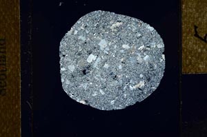 Cross Polarized, S22953