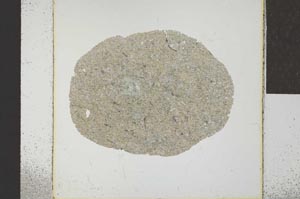 Plane Polarized, S22954