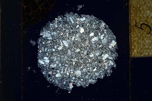 Cross Polarized, S22955