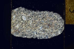 Cross Polarized, S22956