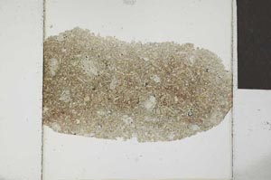 Plane Polarized, S22956