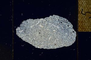 Cross Polarized, S22957