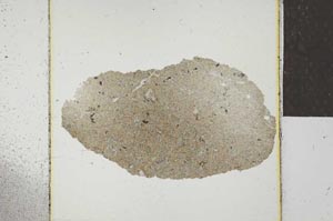 Plane Polarized, S22957