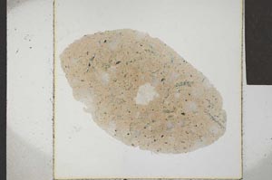 Plane Polarized, S22958