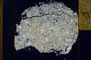 Cross Polarized, S22959