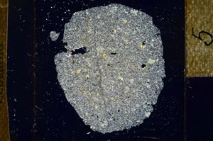 Cross Polarized, S22963