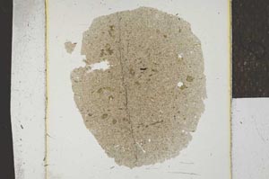 Plane Polarized, S22963