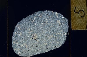 Cross Polarized, S22964