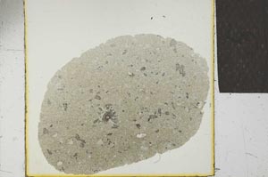 Plane Polarized, S22964