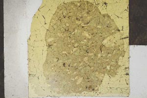 Plane Polarized, S22966