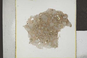 Plane Polarized, S22967