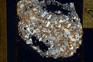 Cross Polarized, S22968