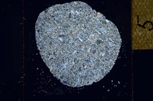 Cross Polarized, S22970