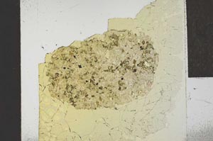 Plane Polarized, S22972
