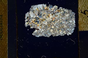 Cross Polarized, S22974