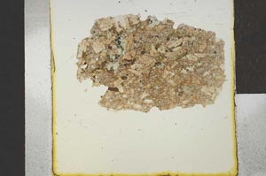 Plane Polarized, S22974