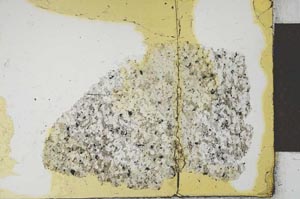 Plane Polarized, S23023