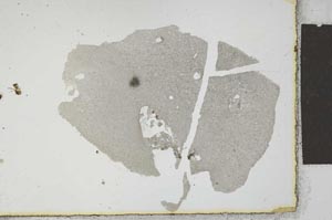 Plane Polarized, S23030