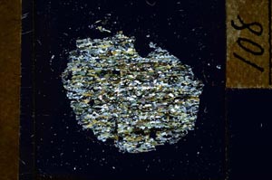 Cross Polarized, S23064