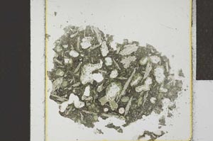 Plane Polarized, S23084