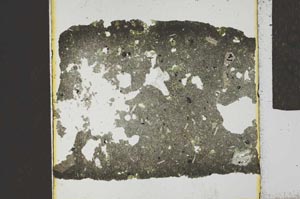 Plane Polarized, S23086