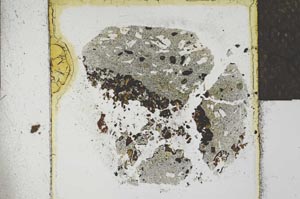 Plane Polarized, S23089