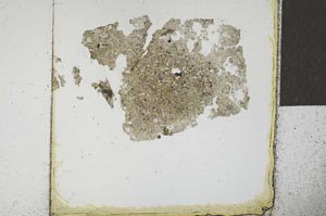 Plane Polarized, S23091