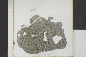 Plane Polarized, S23101