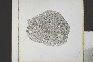 Plane Polarized, S23104