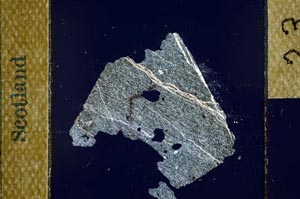 Cross Polarized, S23107