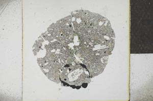 Plane Polarized, S23108