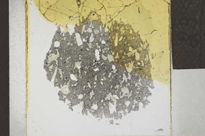 Plane Polarized, S23111