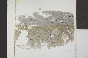 Plane Polarized, S23112
