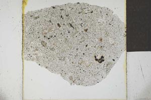 Plane Polarized, S23118