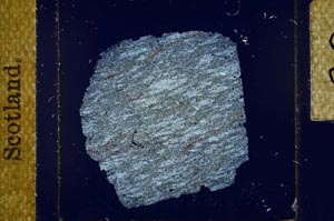 Cross Polarized, S23120