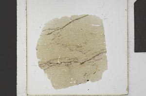 Plane Polarized, S23120