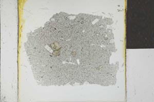 Plane Polarized, S23121