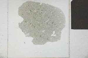 Plane Polarized, S23125