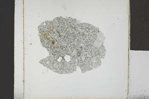 Plane Polarized, S23126